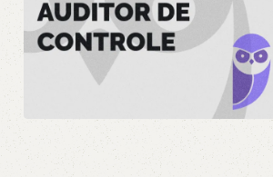 CGM SP Auditor de Controle Interno 2024 - ESTRATEGIA